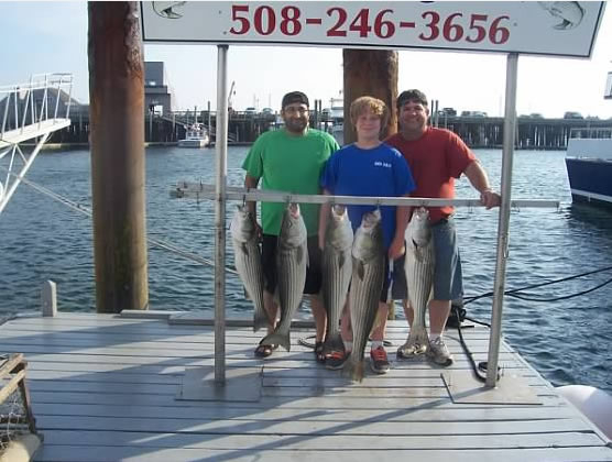 Cape Cod Sport Fishing