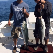 Provincetown Whale Watching