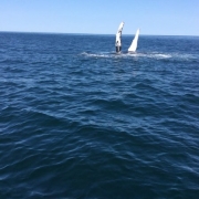 Provincetown Whale Watching