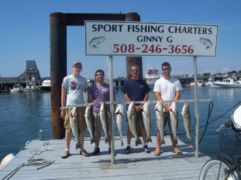 Cape Cod Sport Fishing