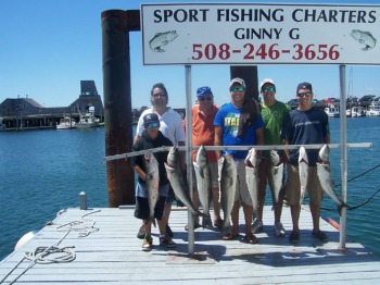 Cape Cod Sportfishing