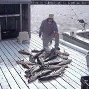 Cape Cod Sportfishing