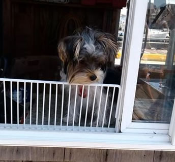 cape cod sport fishing